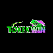 TOKEKWIN - Aplikasi Les Online Terbaik untuk Belajar Mandiri